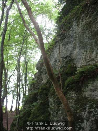 Dooney Rock, Lough Gill, County Sligo